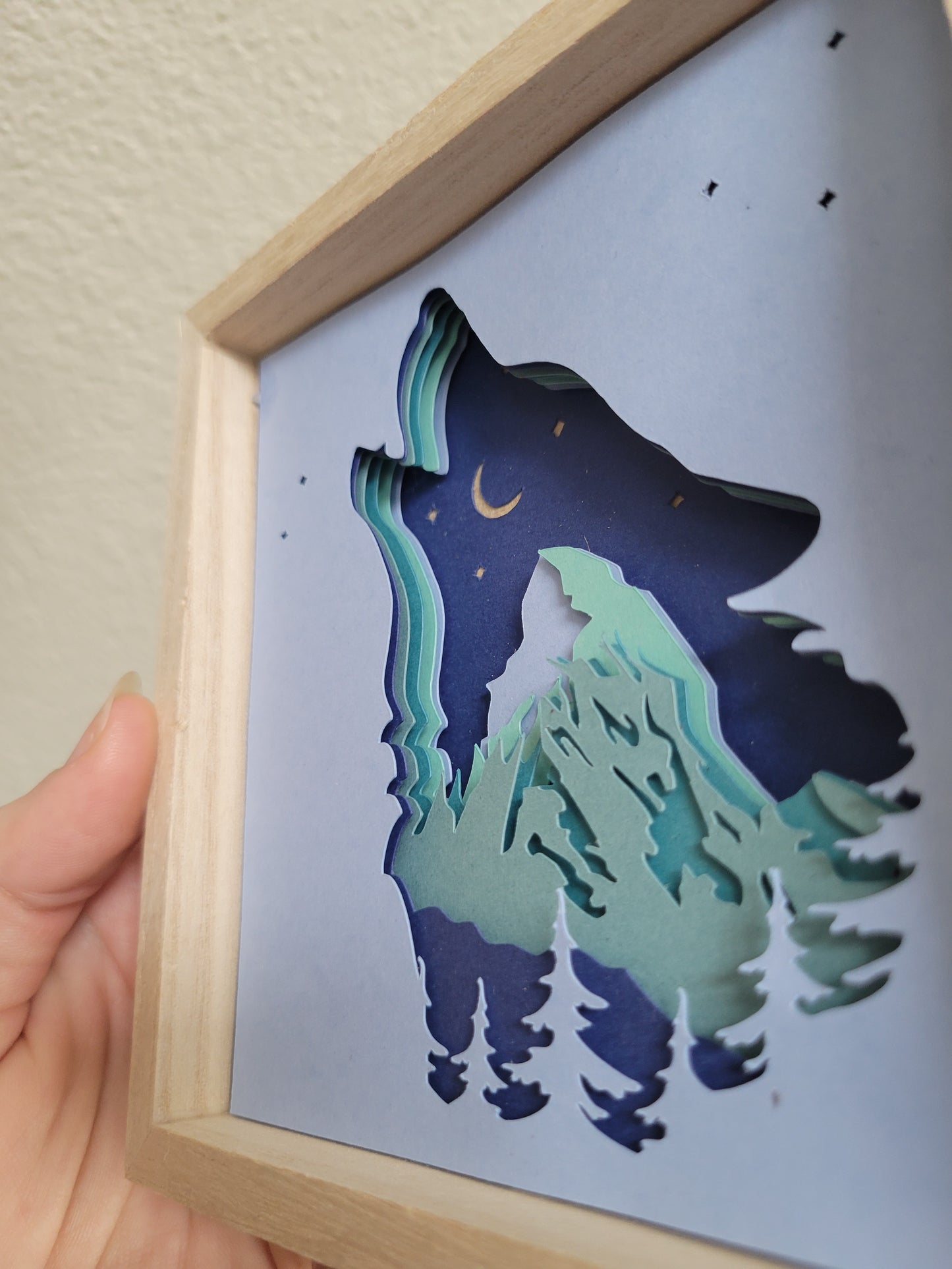 Silhouette Shadow Boxes