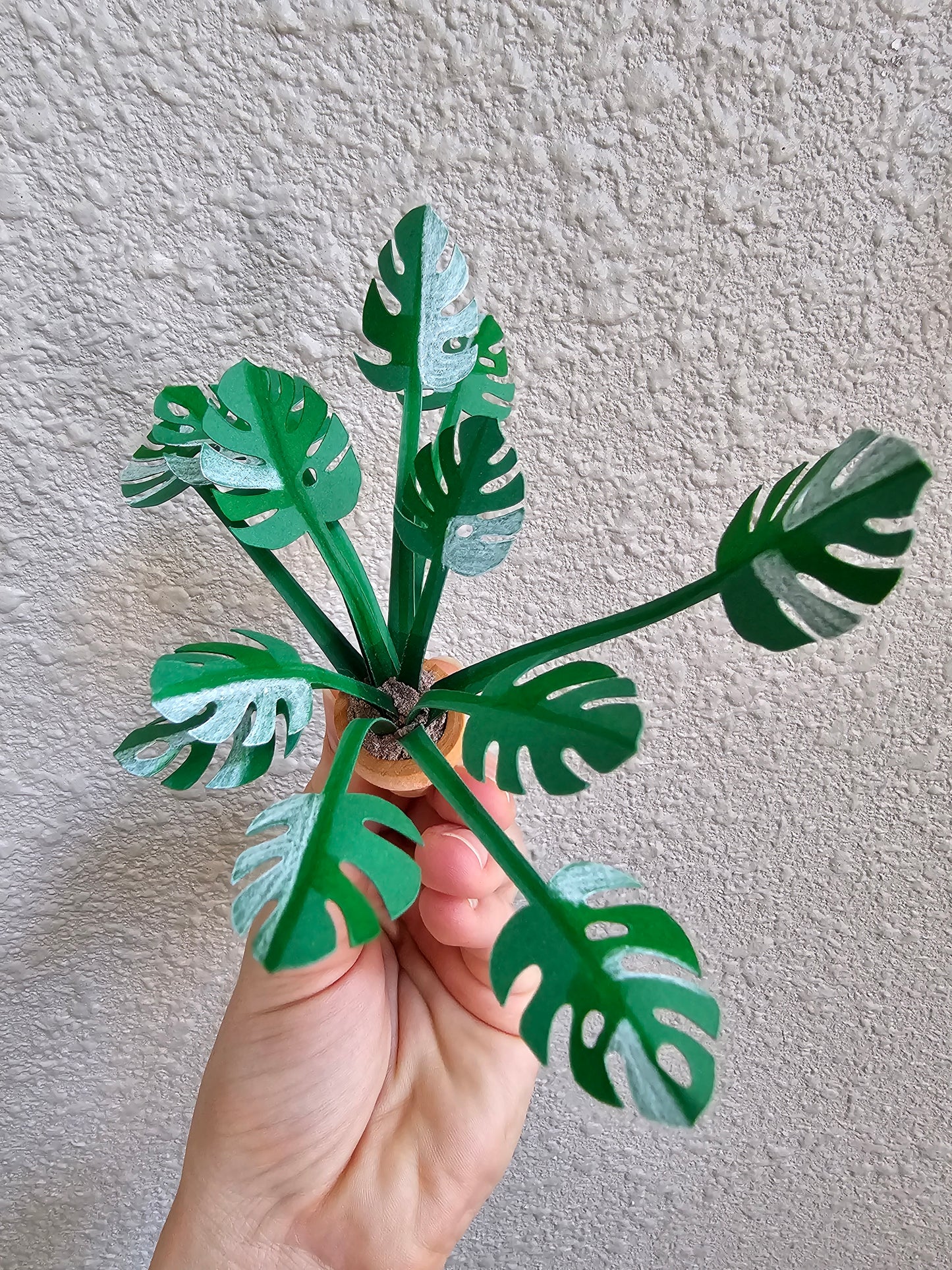 DIY Potted Monstera