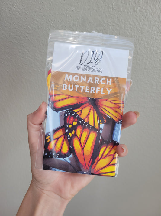 DIY Monarch Butterfly - DIY Your Own Paper Specimen