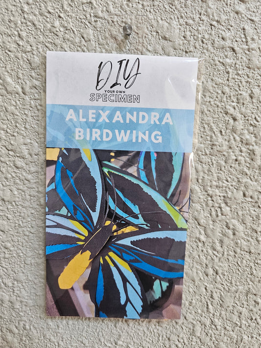 DIY Alexandria Birdwing - DIY Your Own Paper Specimen