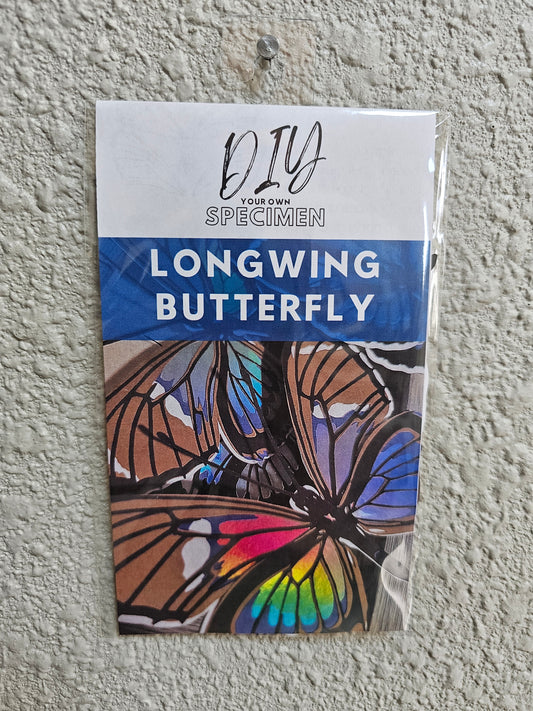DIY Longwing Butterfly - DIY Your Own Paper Specimen