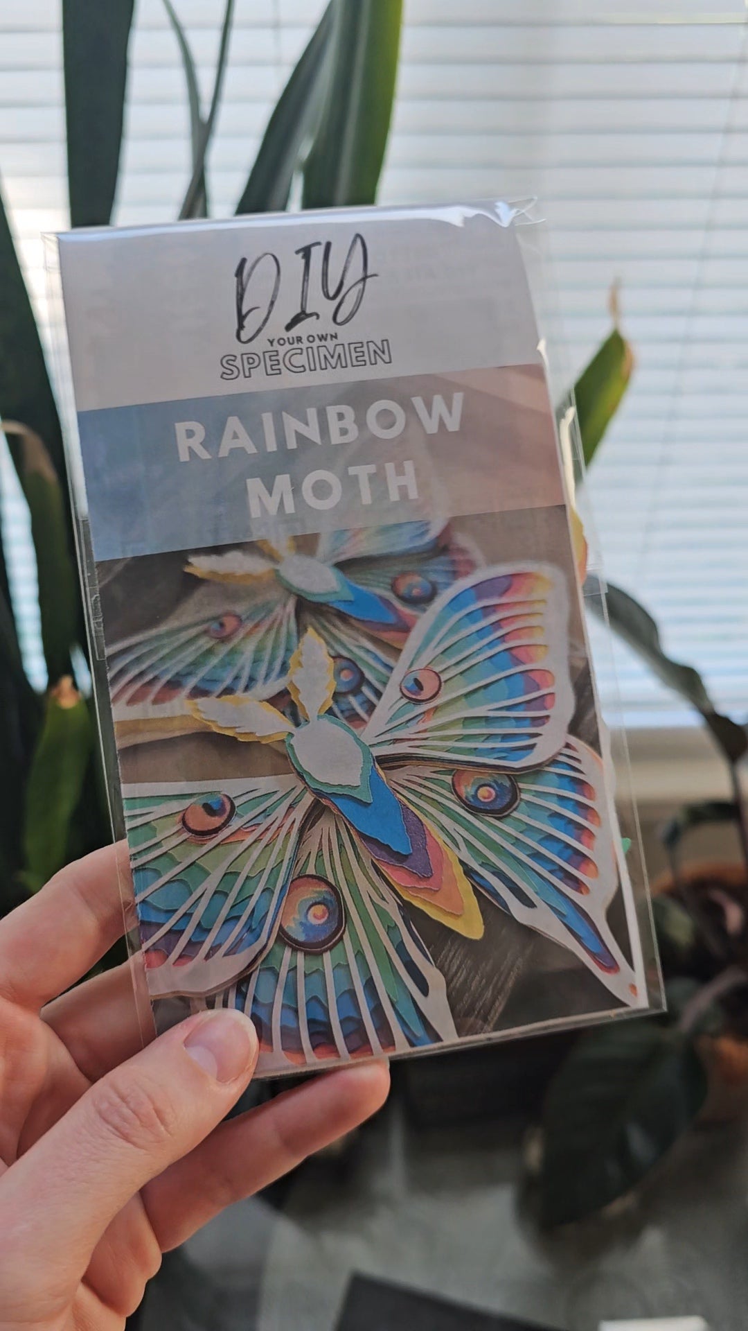 Rainbow Luna Moth DIY