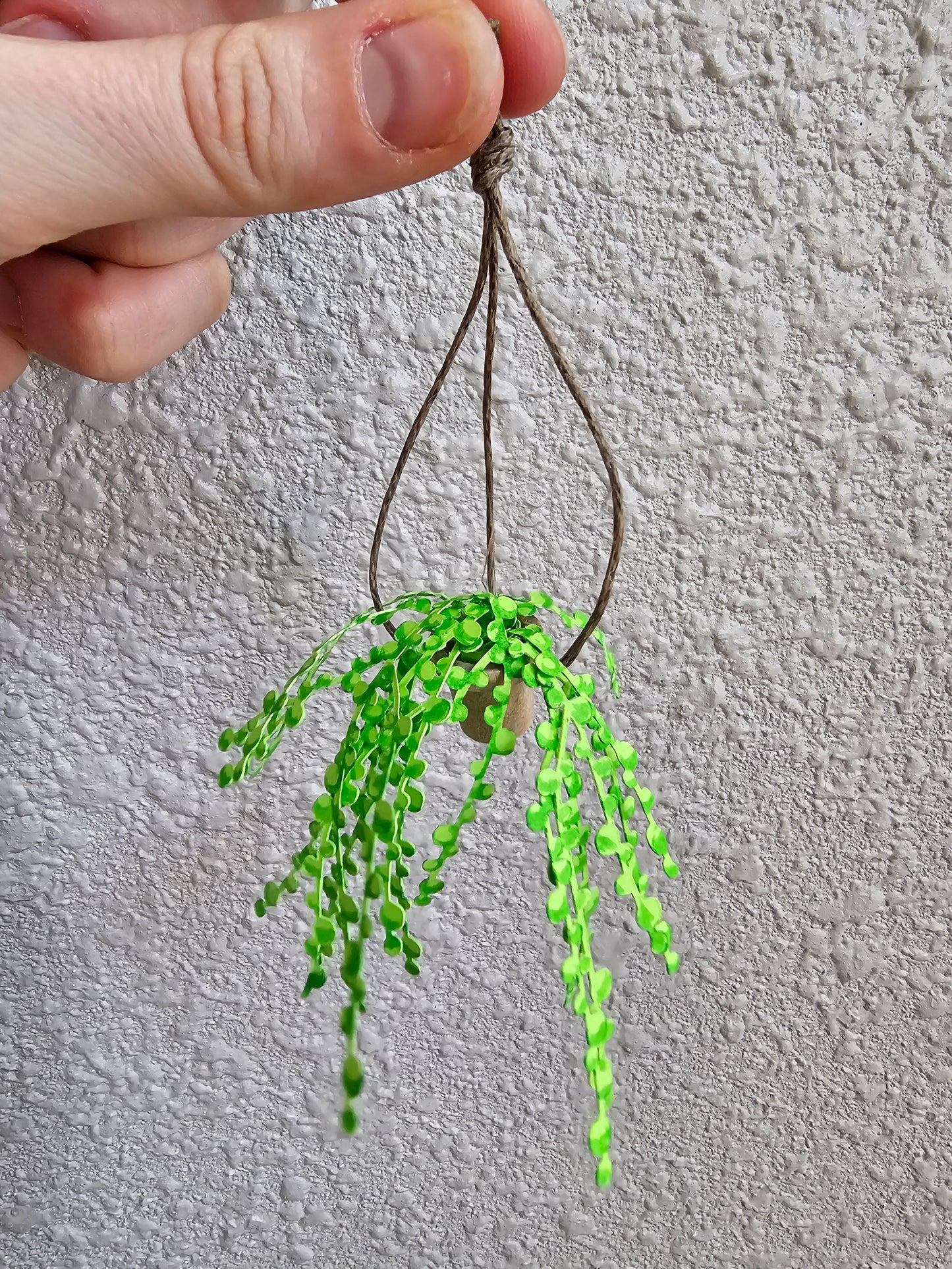 DIY Potted String of Pearls