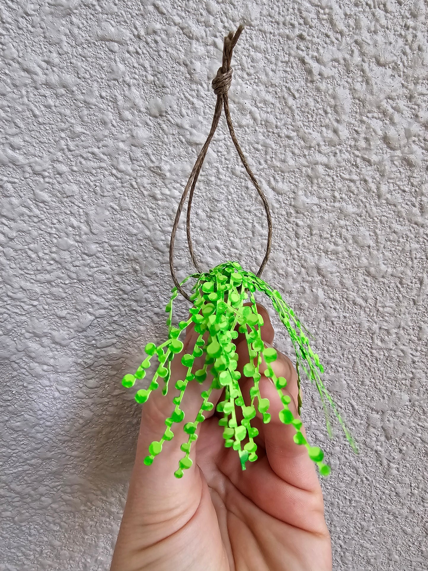 DIY Potted String of Pearls